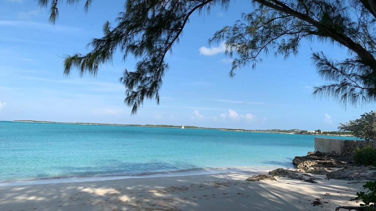 דירות ג'ורג'טאון Turtles Nest Bahamas מראה חיצוני תמונה