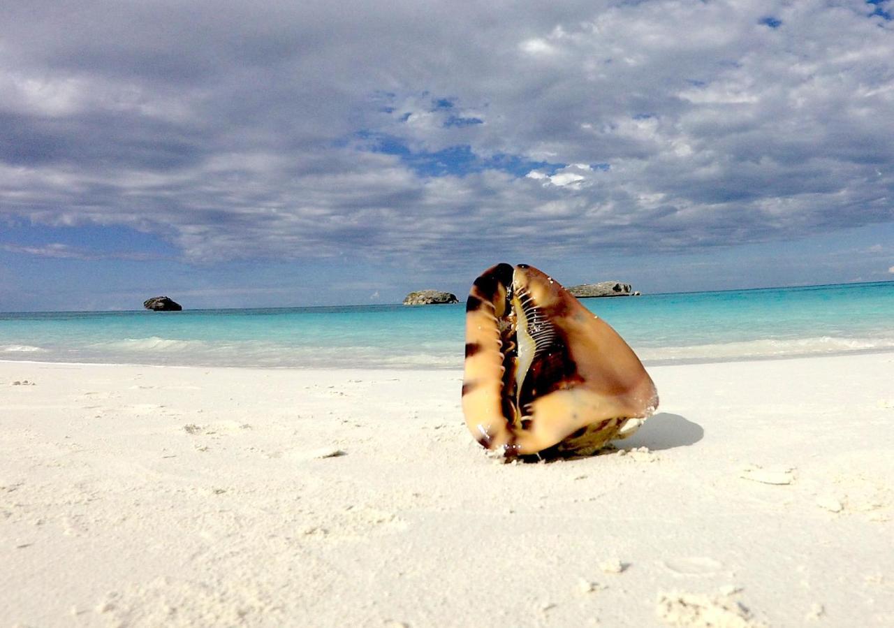 דירות ג'ורג'טאון Turtles Nest Bahamas מראה חיצוני תמונה