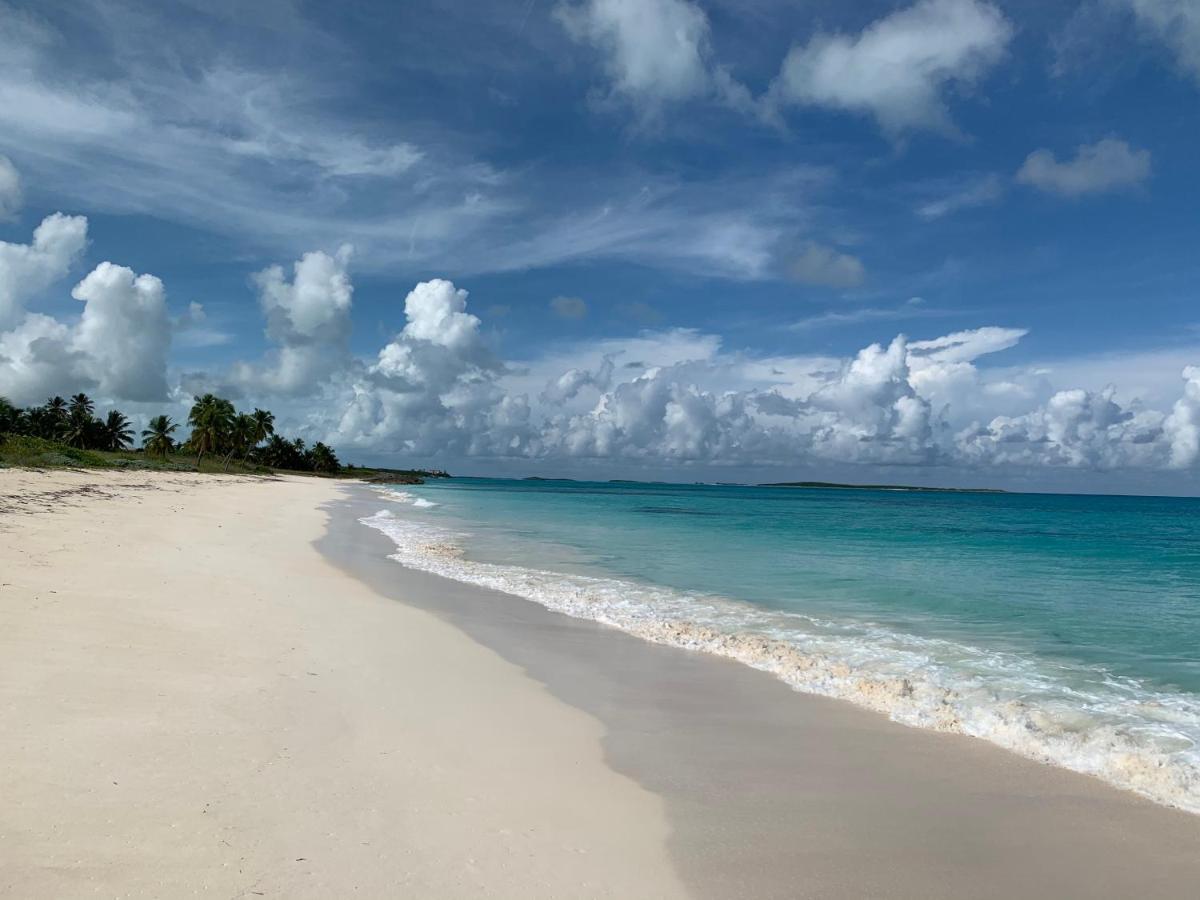 דירות ג'ורג'טאון Turtles Nest Bahamas מראה חיצוני תמונה