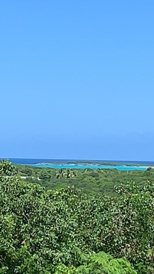 דירות ג'ורג'טאון Turtles Nest Bahamas מראה חיצוני תמונה